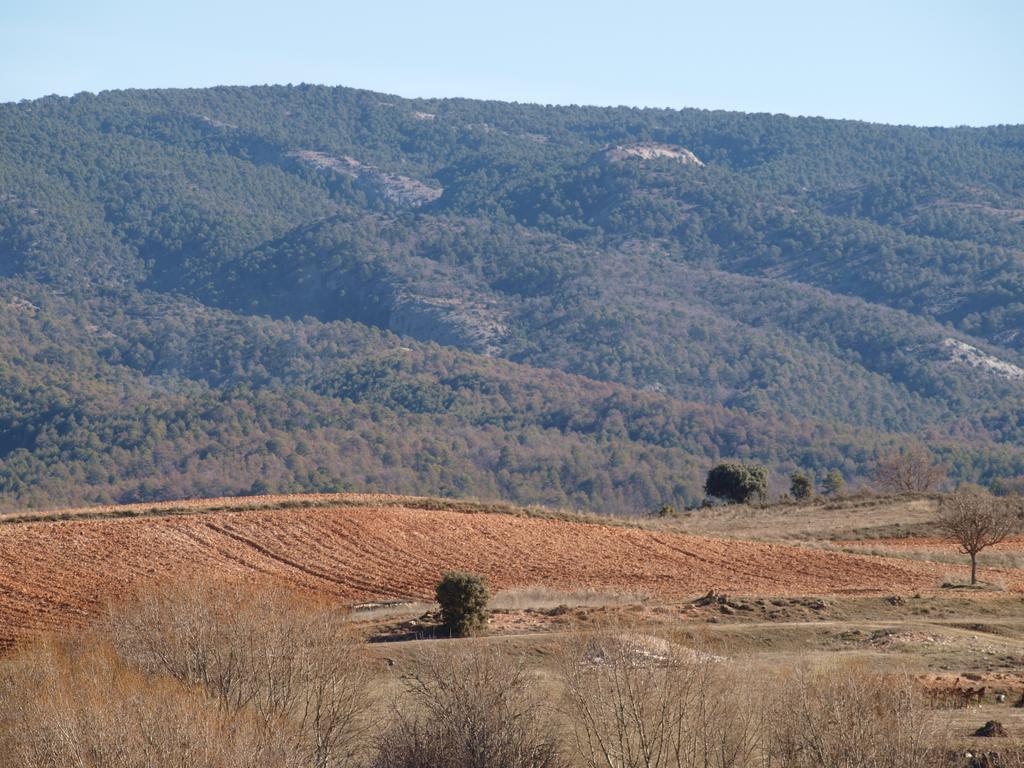 Alojamiento Turistico "El Torreon" Konuk evi Fresneda de la Sierra Dış mekan fotoğraf