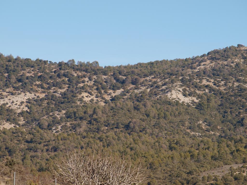 Alojamiento Turistico "El Torreon" Konuk evi Fresneda de la Sierra Dış mekan fotoğraf
